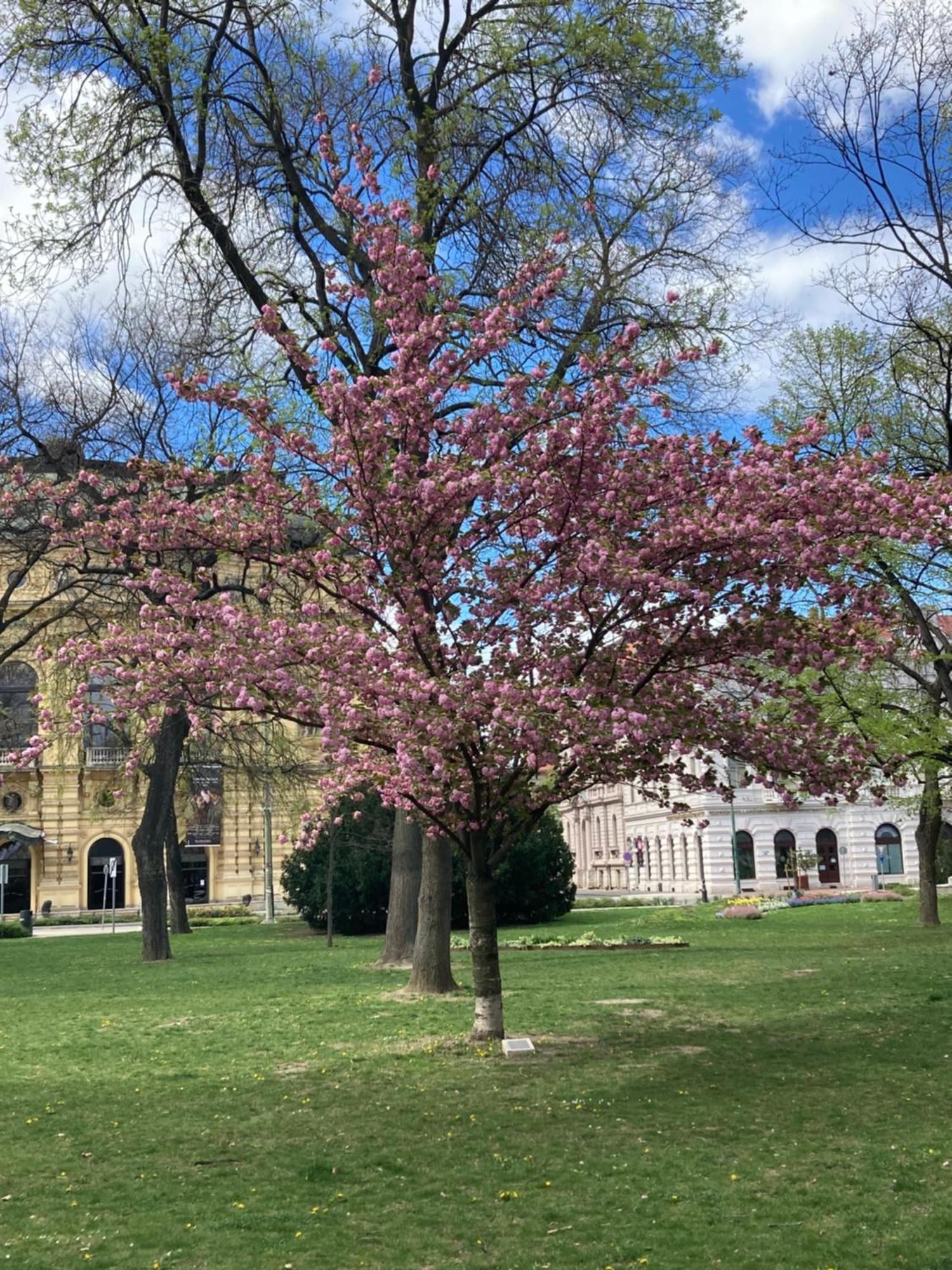 Appartamento Tavaszpart Vendeghaz Szeged Esterno foto