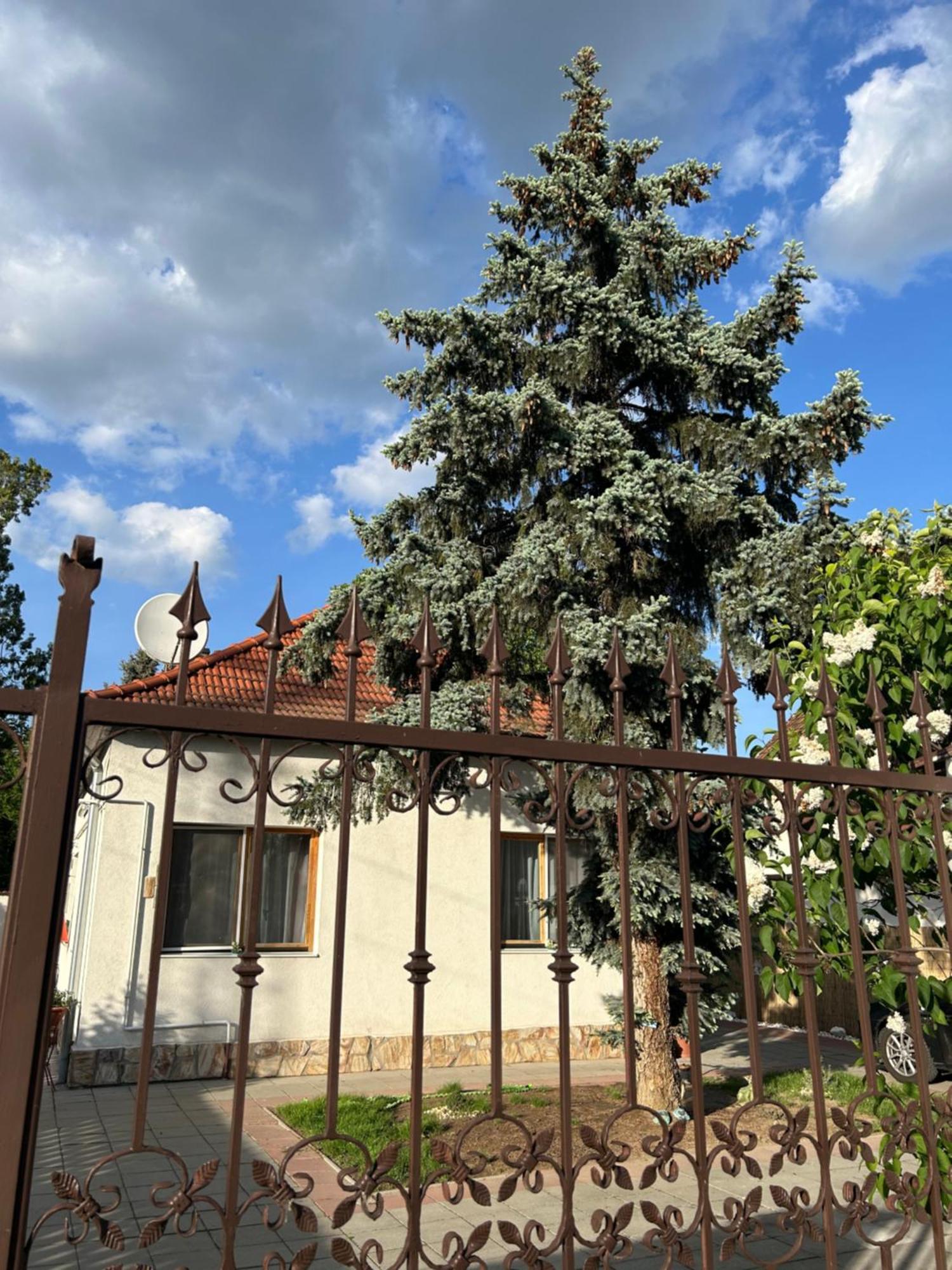 Appartamento Tavaszpart Vendeghaz Szeged Esterno foto